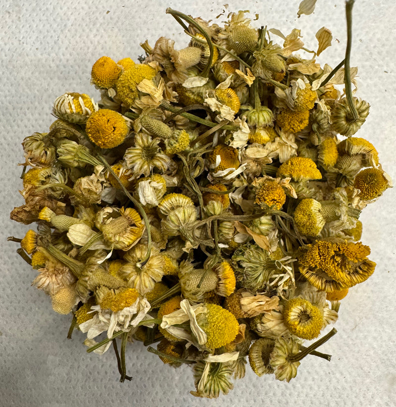 Chamomile - 1 oz.