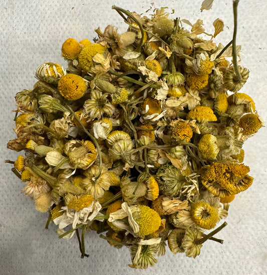 Chamomile - 1 oz.